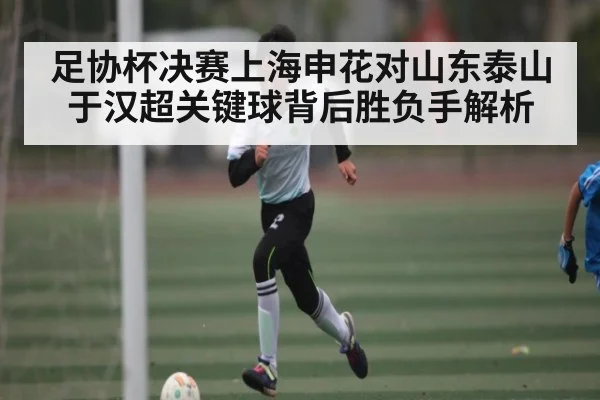 足协杯决赛上海申花对山东泰山于汉超关键球背后胜负手解析
