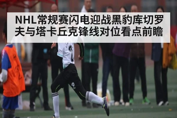 NHL常规赛闪电迎战黑豹库切罗夫与塔卡丘克锋线对位看点前瞻